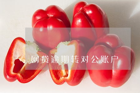 网贷逾期转对公账户 网贷逾期转对公账户