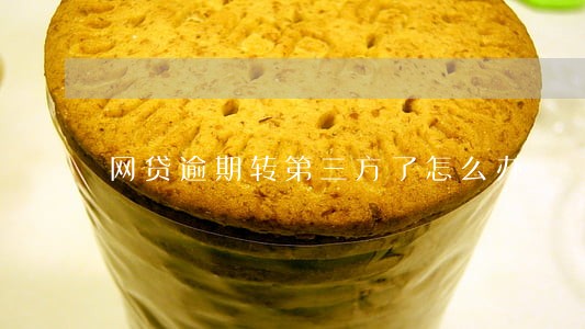 网贷逾期转第三方了怎么办 网贷逾期转第三方了怎么办