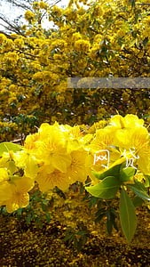 网贷逾期转第三方催收 网贷逾期转第三方催收