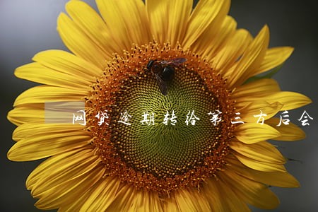 网贷逾期转给第三方后会被起诉吗 网贷逾期转给第三方后会被起诉吗