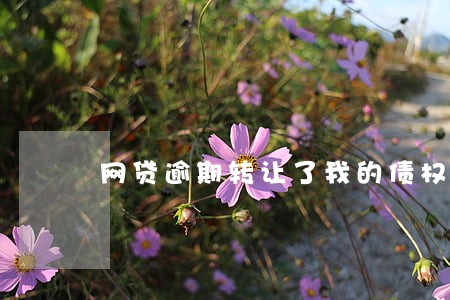 网贷逾期转让了我的债权合法吗 网贷逾期转让了我的债权合法吗