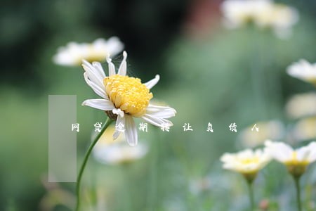 网贷逾期转让负债人 网贷逾期转让负债人