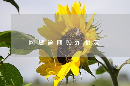 网贷逾期轰炸朋友 网贷逾期轰炸朋友