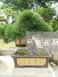 网贷逾期轰炸联系人