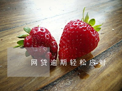 网贷逾期轻松应对
