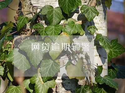 网贷逾期辅警 网贷逾期辅警