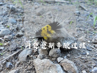 网贷逾期辛酸过程 网贷逾期辛酸过程
