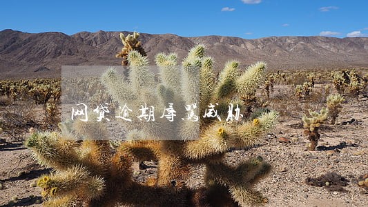 网贷逾期辱骂威胁 网贷逾期辱骂威胁