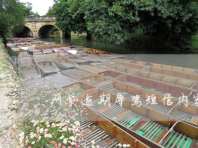 网贷逾期辱骂短信内容 网贷逾期辱骂短信内容