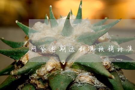 网贷逾期达到准核销标准是啥意思 网贷逾期达到准核销标准是啥意思