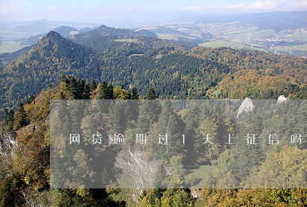 网贷逾期过1天上征信吗 网贷逾期过1天上征信吗