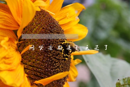 网贷逾期过3天还了 网贷逾期过3天还了