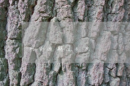 网贷逾期过3次 网贷逾期过3次
