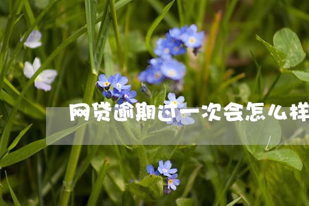 网贷逾期过一次会怎么样 网贷逾期过一次会怎么样