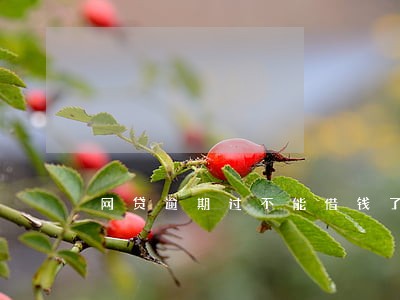 网贷逾期过不能借钱了 网贷逾期过不能借钱了