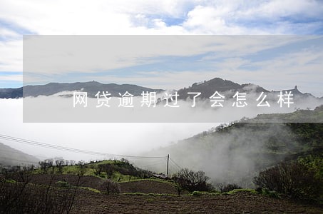 网贷逾期过了会怎么样 网贷逾期过了会怎么样
