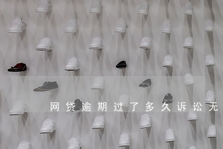 网贷逾期过了多久诉讼无效 网贷逾期过了多久诉讼无效