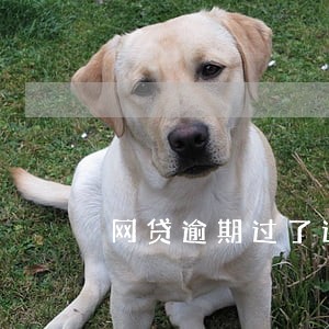 网贷逾期过了还能办银行卡吗