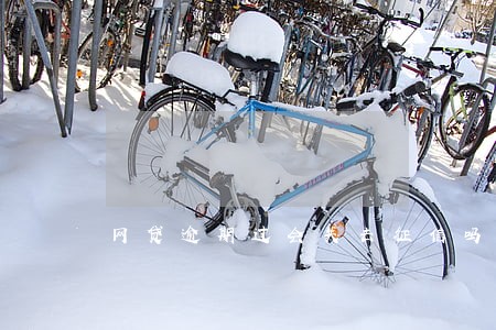 网贷逾期过会失去征信吗 网贷逾期过会失去征信吗
