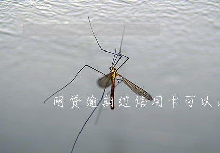 网贷逾期过信用卡可以办吗 网贷逾期过信用卡可以办吗