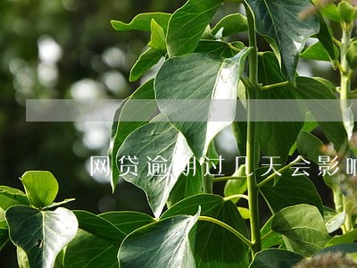 网贷逾期过几天会影响买房吗 网贷逾期过几天会影响买房吗