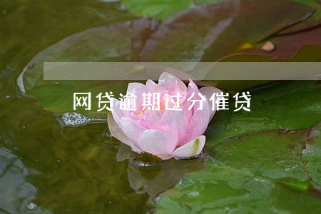 网贷逾期过分催贷 网贷逾期过分催贷