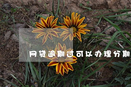 网贷逾期过可以办理分期吗 网贷逾期过可以办理分期吗