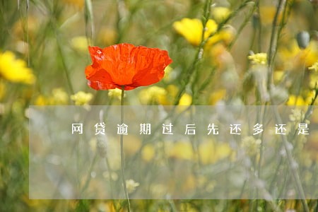 网贷逾期过后先还多还是先还少 网贷逾期过后先还多还是先还少