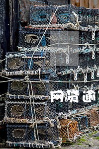 网贷逾期过后白条都用不了了 网贷逾期过后白条都用不了了