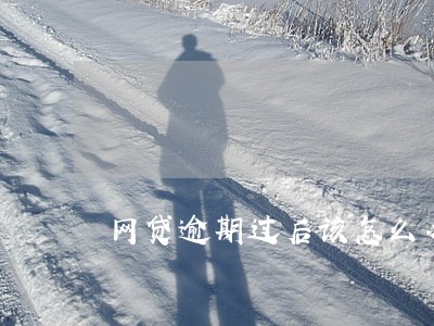 网贷逾期过后该怎么办 网贷逾期过后该怎么办