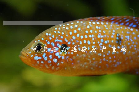 网贷逾期过四次严重吗 网贷逾期过四次严重吗