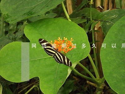 网贷逾期过多久可以用 网贷逾期过多久可以用