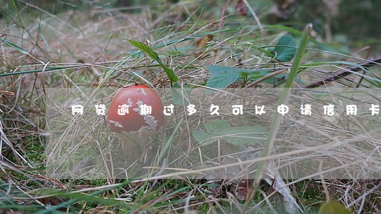 网贷逾期过多久可以申请信用卡