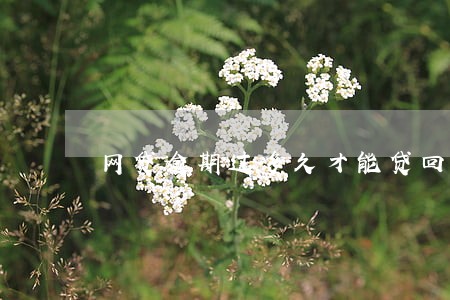 网贷逾期过多久才能贷回来 网贷逾期过多久才能贷回来