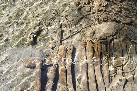 网贷逾期过多多少年可以办信用卡