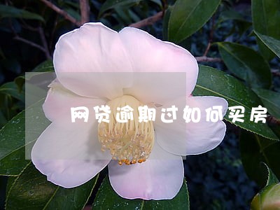 网贷逾期过如何买房 网贷逾期过如何买房