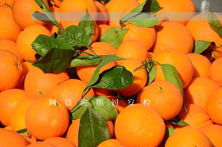 网贷逾期过安检 网贷逾期过安检