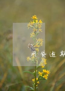 网贷逾期过就不能办理分期了 网贷逾期过就不能办理分期了