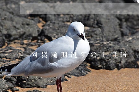 网贷逾期过年会上门吗 网贷逾期过年会上门吗