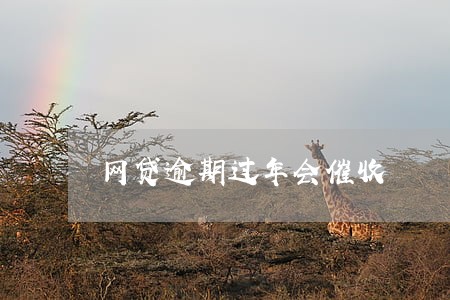 网贷逾期过年会催收 网贷逾期过年会催收