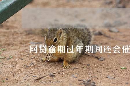 网贷逾期过年期间还会催收么 网贷逾期过年期间还会催收么