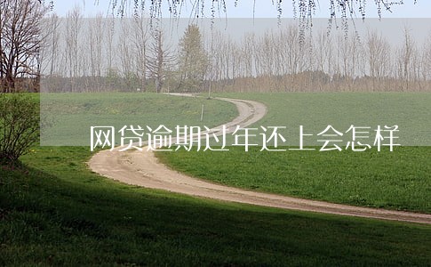网贷逾期过年还上会怎样