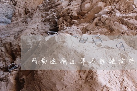 网贷逾期过年还能继续吗 网贷逾期过年还能继续吗
