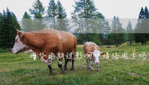 网贷逾期过影响申请信用卡吗 网贷逾期过影响申请信用卡吗