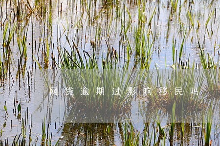 网贷逾期过影响移民吗 网贷逾期过影响移民吗
