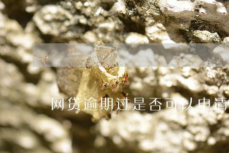 网贷逾期过是否可以申请车贷 网贷逾期过是否可以申请车贷