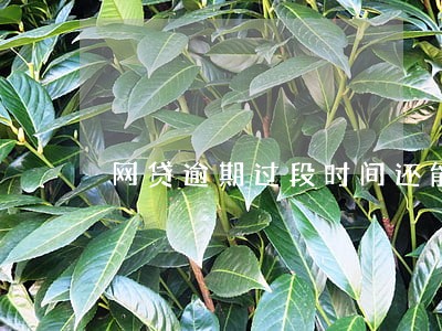 网贷逾期过段时间还能申请吗 网贷逾期过段时间还能申请吗