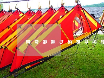 网贷逾期过的可以办理车贷吗 网贷逾期过的可以办理车贷吗