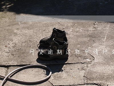 网贷逾期过能申请什么信用卡 网贷逾期过能申请什么信用卡