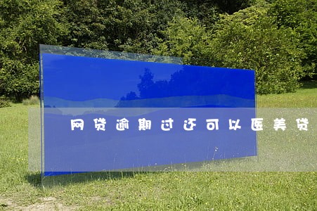 网贷逾期过还可以医美贷吗 网贷逾期过还可以医美贷吗